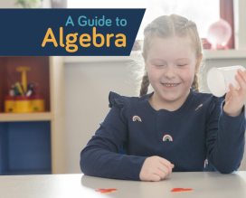A guide to algebra